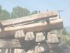 Екология - 8